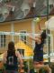 DSCF07791.jpg